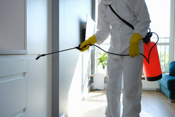 Best Mold Cleaning Services  in Candlewick Lake, IL
