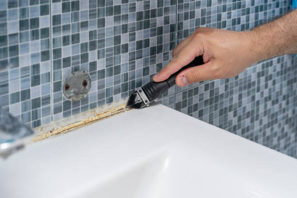 Best Certified Mold Removal  in Candlewick Lake, IL